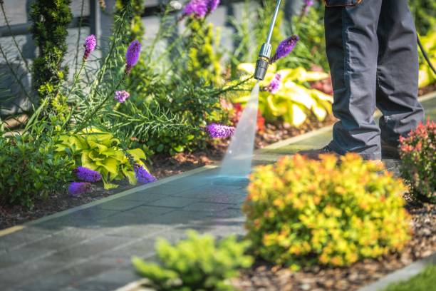 Best Post-Construction Pressure Washing  in Rouses Point, NY
